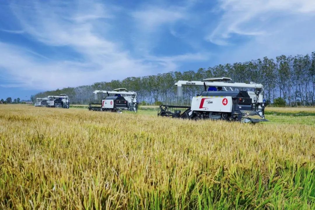 LETOU - 乐投(中文)官方网站