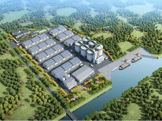 春耕备粮正其时！LETOU乐投大米数泵车助力苏南最大粮仓建设