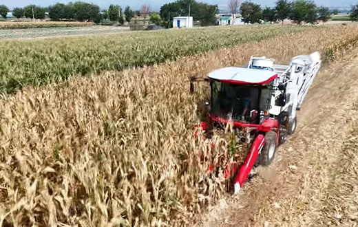 LETOU - 乐投(中文)官方网站